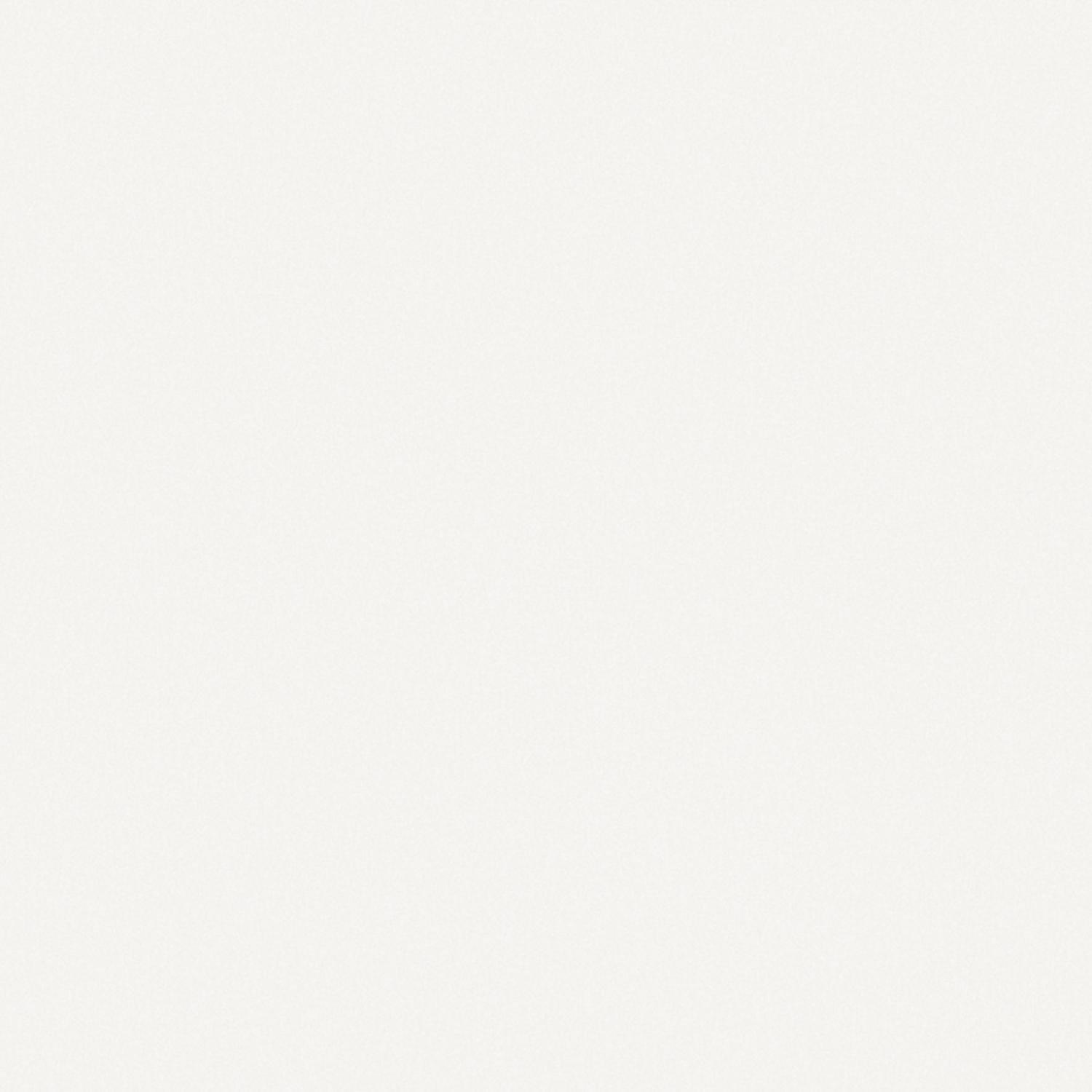 Обои флиз "WallSecret Comfort" 8779-13  10*1,06м *6