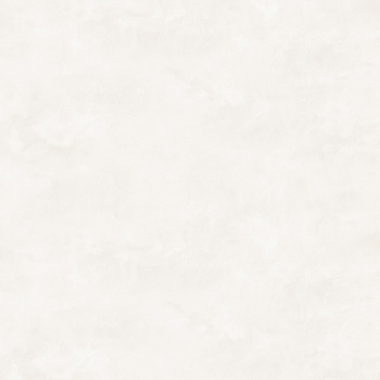 Обои  флиз Victoria Stenova MONTE-CRISTO 283451  1.06*10м *6