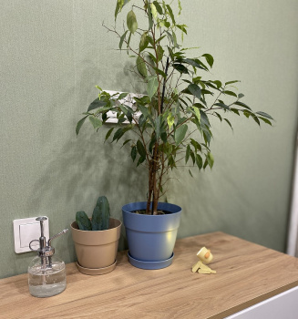 Кашпо пластм. "Villa de Fiori"  4л d верха 200мм h188мм с поддоном Француз. платан IG660210025 *1/8