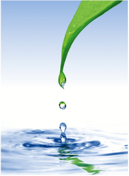 Штора для ванной "Фора" п/эстер 180*200см "Лист" без колец РН13 *1/24