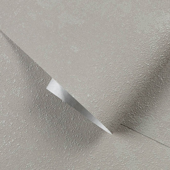 Обои флиз "AS Палитра" Аспект Теодора фон (сер.) 30287-22 1,06*10м *1/6