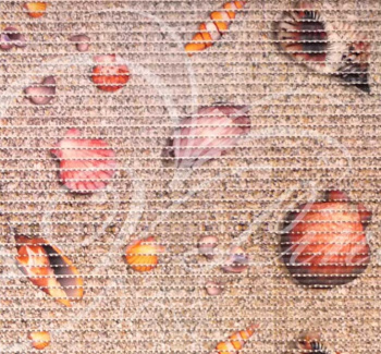 Коврик для ванной ПВХ шир. 65см х15м "V-line" Фотопечать FV4 Пляж *15