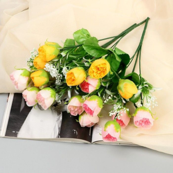 Бонсай в горшке "Пеперомия" 7х13 см  9789704