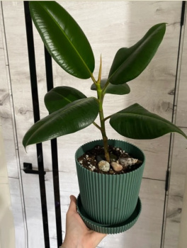 Кашпо пластм. "Gaufre"  1л d верха 115мм h115мм с поддоном Изумруд 801--16 (Tek.A.Tek) *1/40